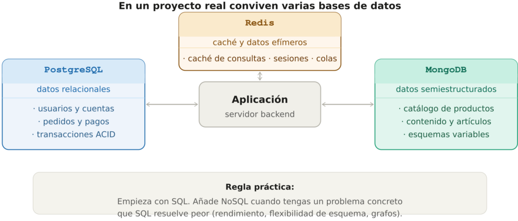 Diagrama de arquitectura con una aplicación web conectada a PostgreSQL para datos relacionales, Redis para caché y sesiones, y MongoDB para el catálogo de productos