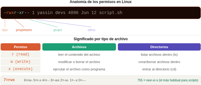 Anatomía completa de los permisos Linux: tipo de archivo, permisos del propietario, del grupo y de otros, con la tabla de significado para archivos y directorios