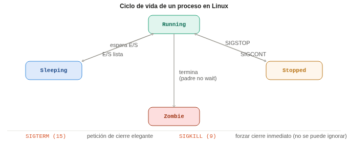 Ciclo de vida de un proceso Linux con los estados Running, Sleeping, Stopped y Zombie, y las señales que provocan las transiciones